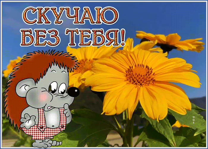 Postcard славная открытка скучаю без тебя с ежиком