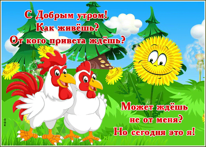 Открытка смешная картинка с добрым утром