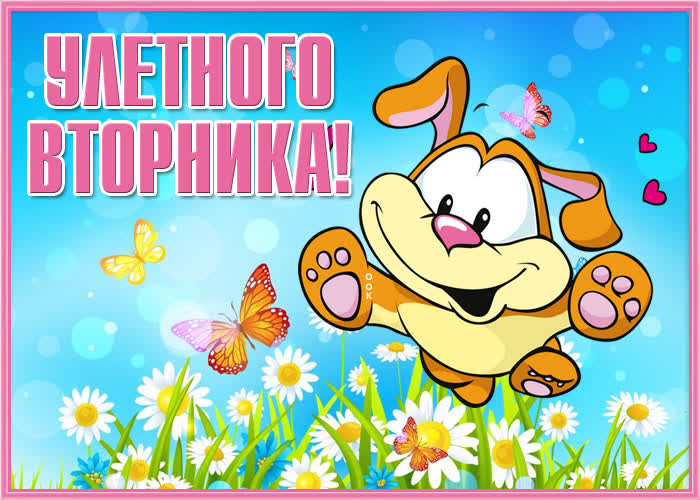 Картинка смешная открытка с вторником