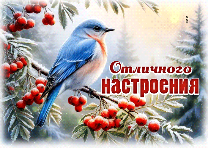 Postcard снежная чудесная гифка отличного настроения