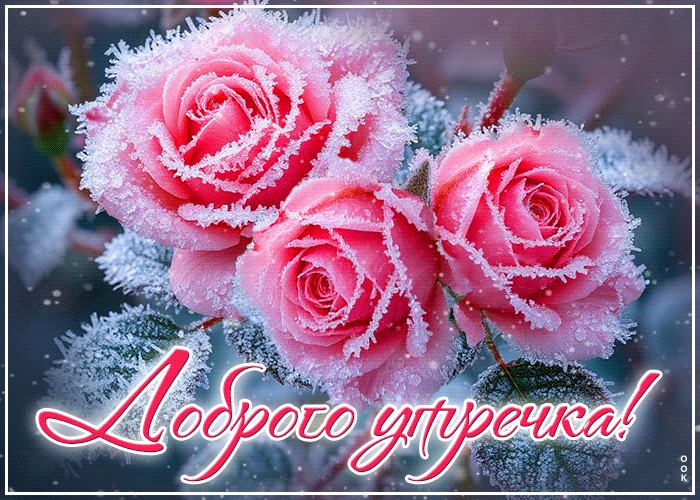 Postcard снежная ласковая гифка доброго утречка