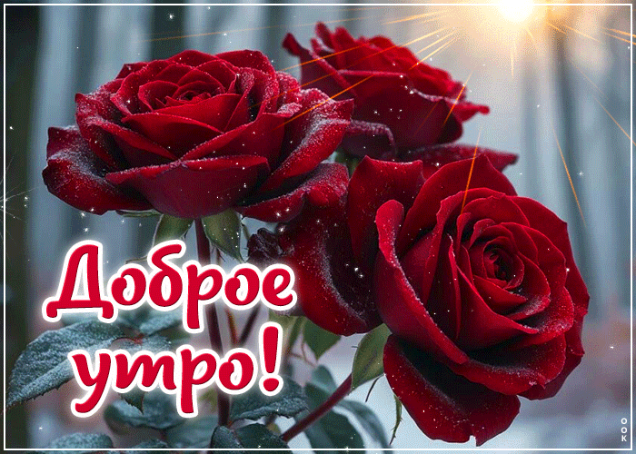 Picture снежная сияющая гифка доброе утро