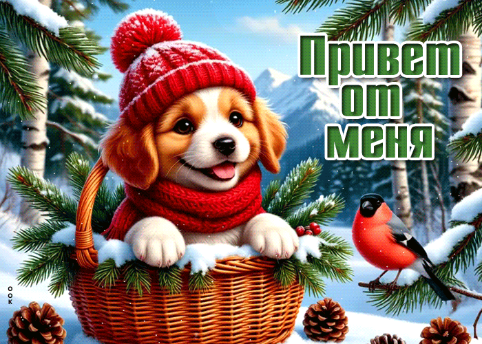 Picture снежная светлая гифка привет от меня