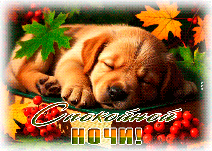 Postcard согревающая гиф-открытка, спи сладко