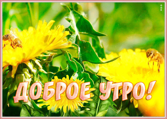 Открытка солнечная открытка с добрым утром