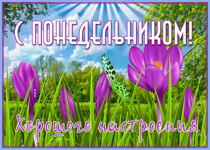 Открытка солнечная открытка с понедельником