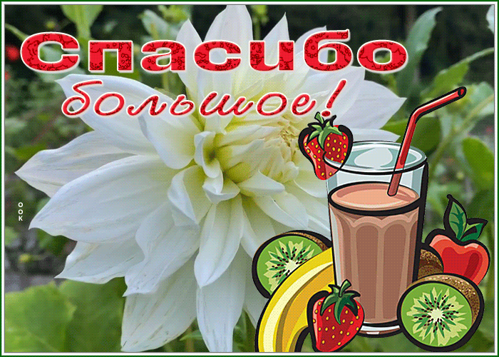 Postcard спасибо большое