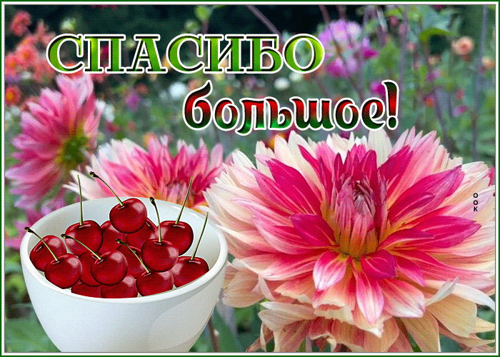 Postcard спасибо большое