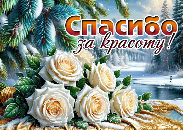 Picture спасибо за красоту