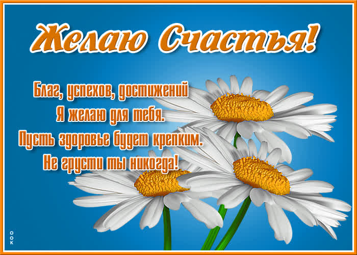 Картинка стильная открытка с цветами
