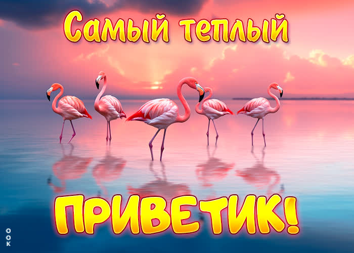 Postcard супер открытка самый теплый приветик