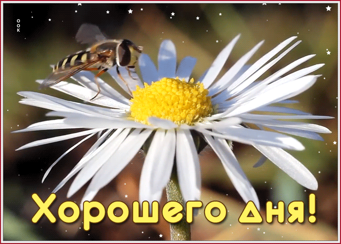 Открытка светлая картинка хорошего дня