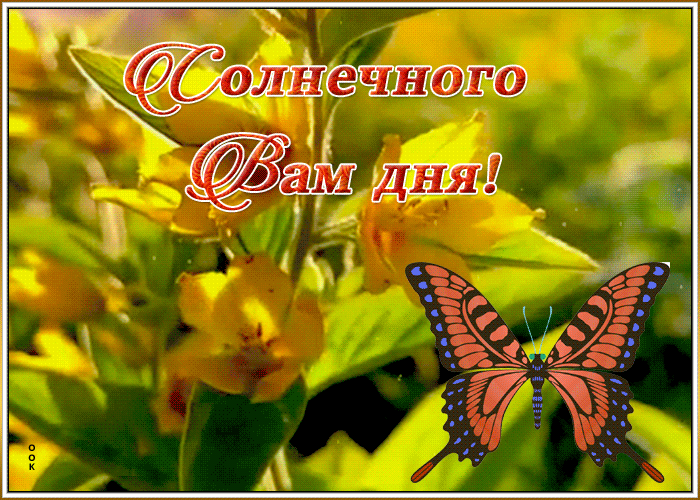 Картинка светлая открытка хорошего дня