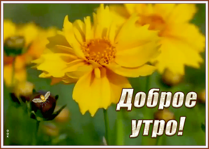 Картинка светлая открытка с добрым утром