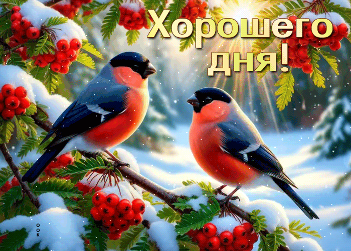 Picture светлая открытка, с пожеланием хорошего дня