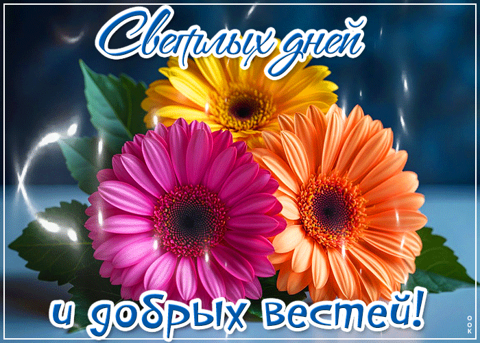 Picture светлых дней и добрых вестей