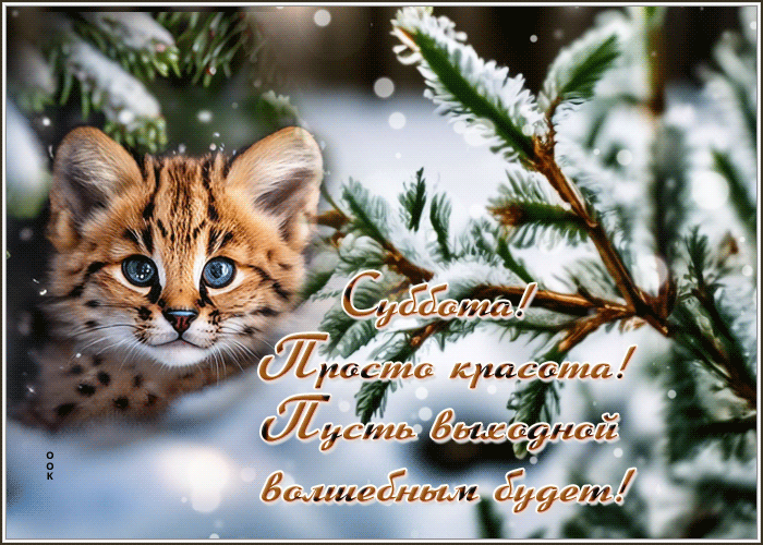Picture таинственная гиф-открытка с прекрасной субботой