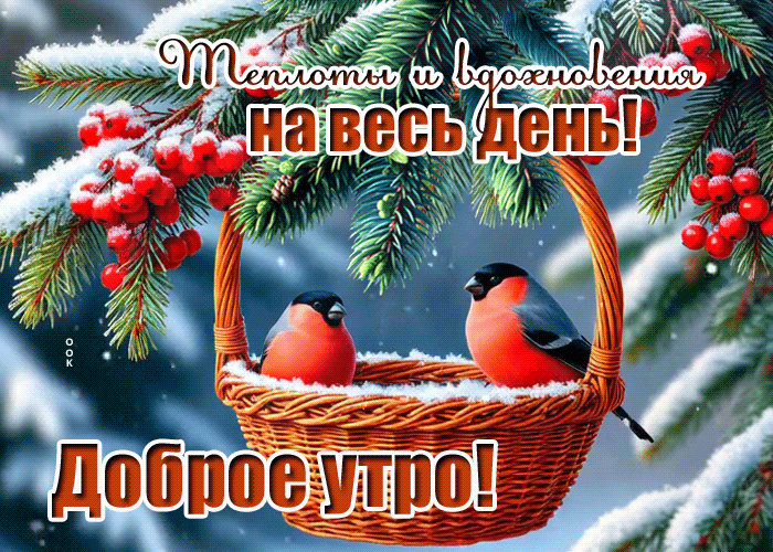 Postcard теплоты и вдохновения на весь день