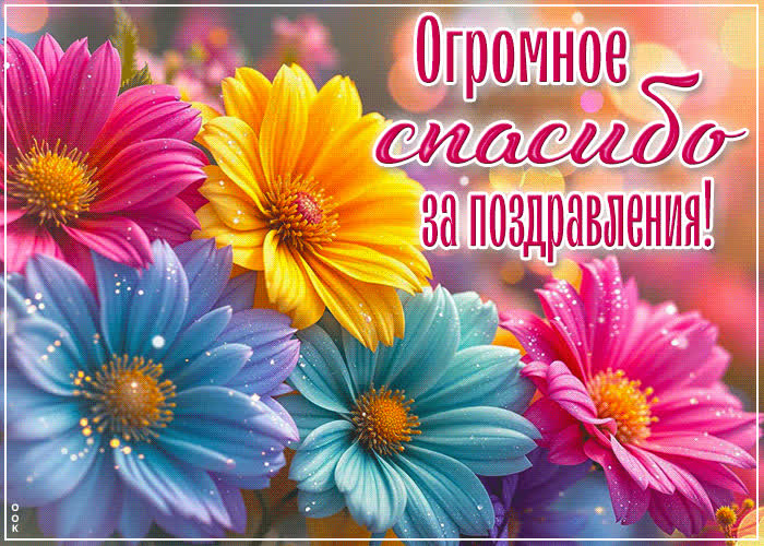 ������������ ���-��������, �������� ������� �� ������������ | ��������  ������