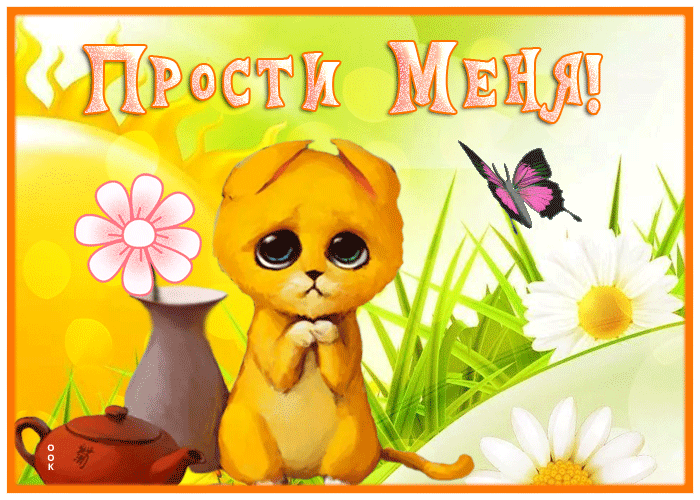 Postcard трогательная картинка прости с котиком и ромашками