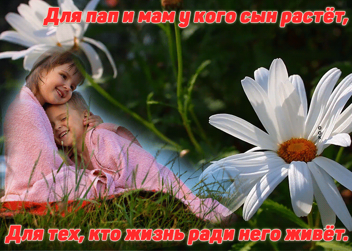 Открытка трогательная открытка день сыновей