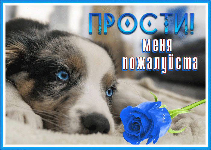 Picture трогательная открытка прости меня, пожалуйста, с песиком