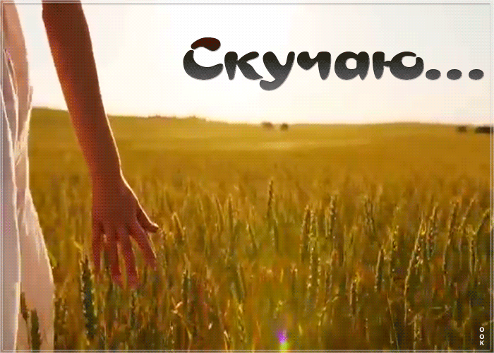 Открытка трогательная открытка скучаю