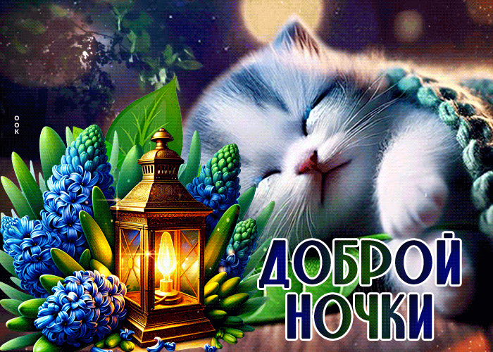 Postcard тёплая гиф-открытка, доброй ночки