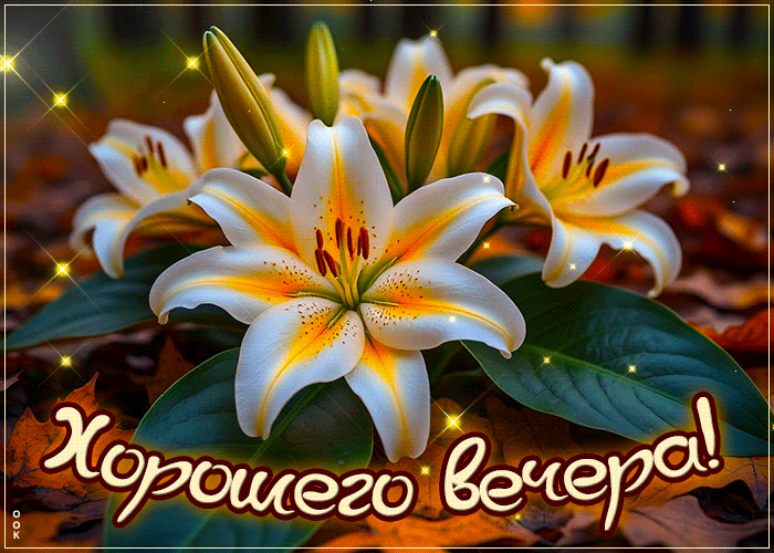 Picture тёплая гиф-открытка, хорошего вечера