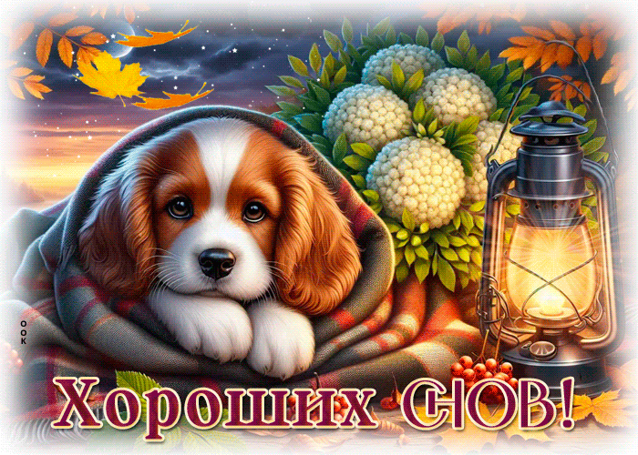 Postcard тёплая гиф-открытка, хороших снов