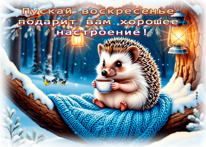 Postcard тёплая открытка, доброго воскресенья!