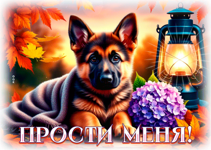 Picture тёплая открытка, прости и прими мои слова