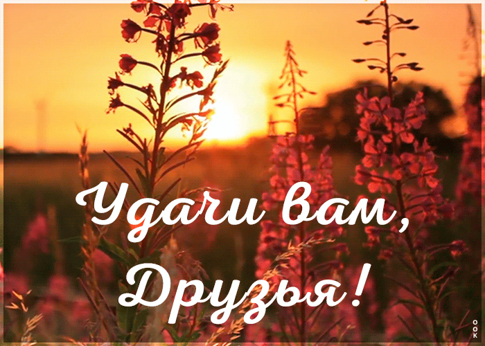 Картинка удачи вам, друзья