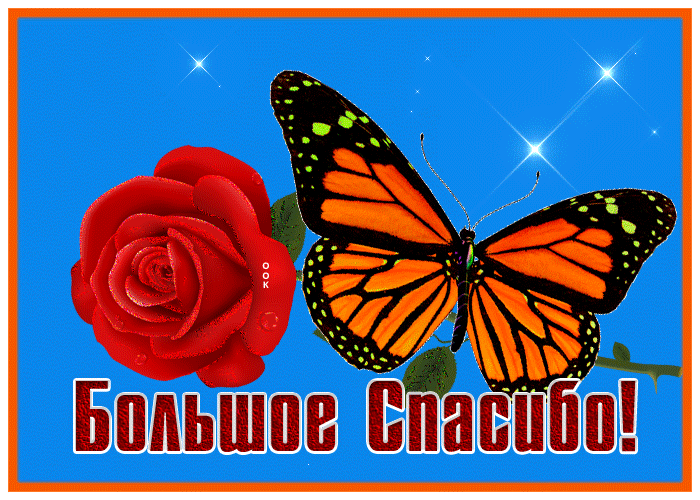 Picture удивительная картинка спасибо с бабочкой