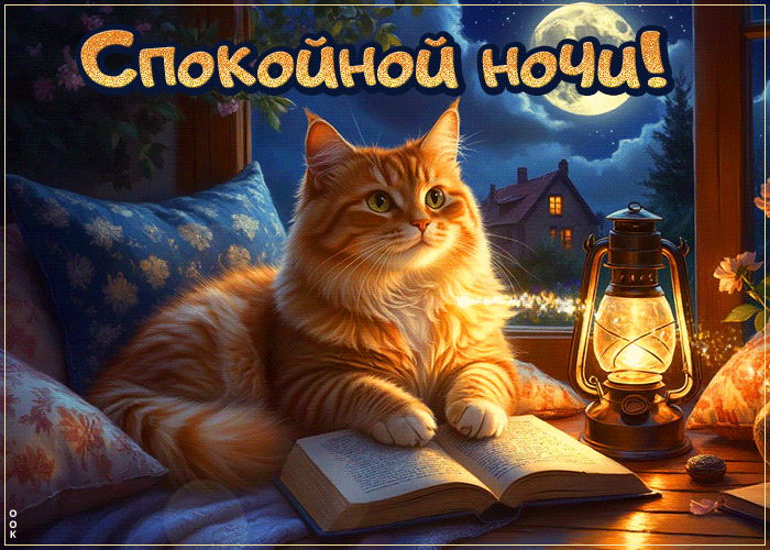 Picture умилённая гиф-открытка, спи спокойной с котиком