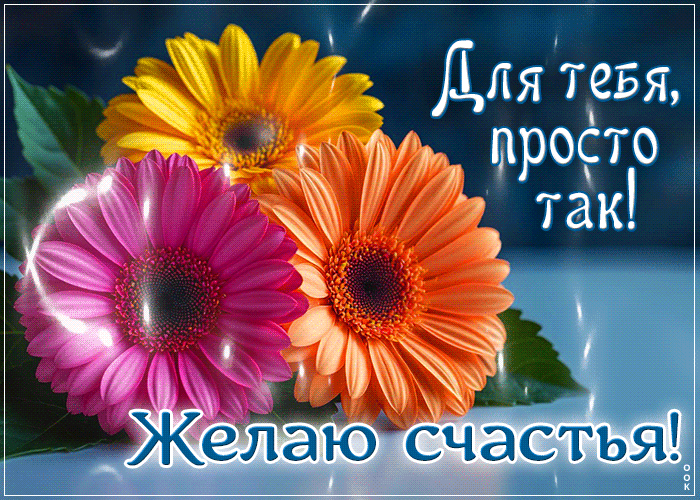 Picture уютная открытка, с цветами и теплом