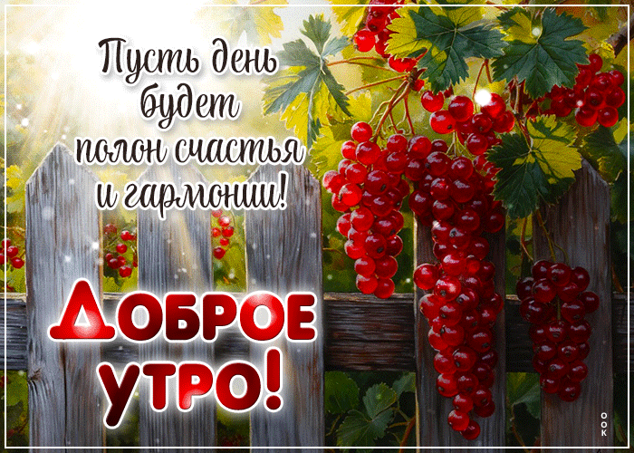 Picture великолепная гиф-открытка, пусть день будет полон счастья