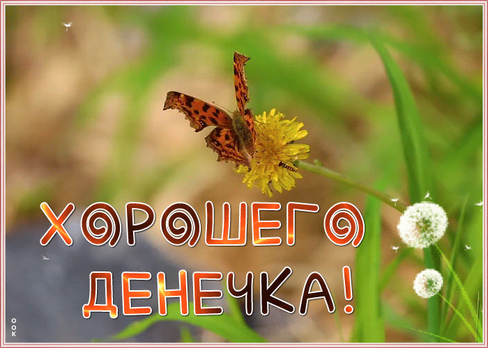 Картинка великолепная открытка хорошего дня