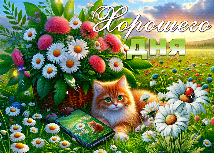 Picture веселая гиф-открытка, хорошего летнего дня