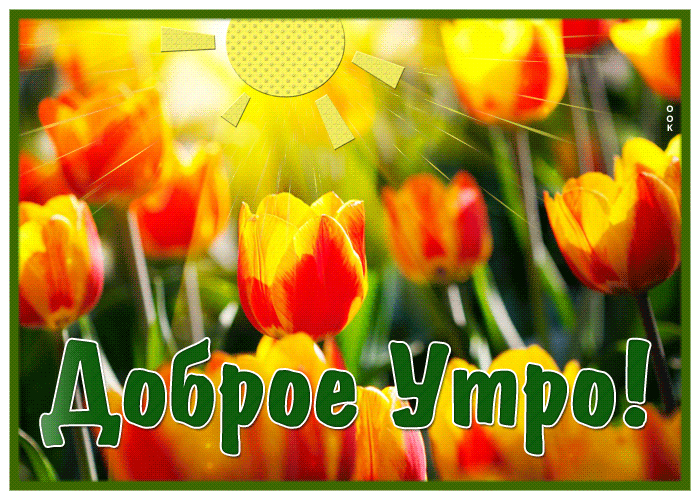 Postcard весенняя гиф-открытка, чудесного утра