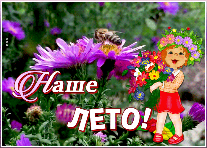 Открытка видео открытка с летом