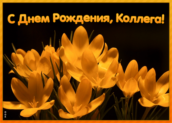 Открытка виртуальная открытка с днем рождения коллеге женщине