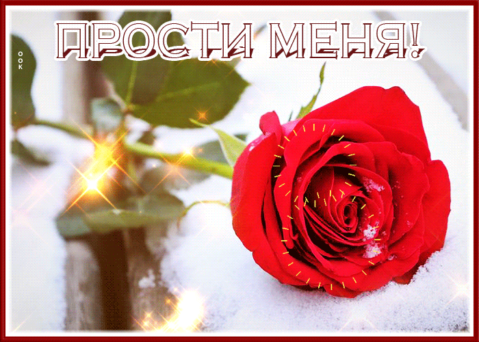 Postcard внимательная гиф-открытка о прощении