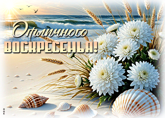 Picture внимательная гиф-открытка, отличного воскресенья
