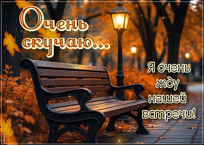 Picture внимательная гиф-открытка, скучаю и жду встречи