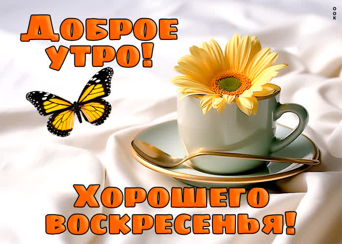 Picture волшебная открытка отправляет пожелания с хорошим воскресеньем