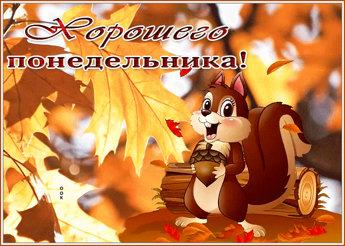 Postcard выразительная открытка хорошего понедельника с белочкой