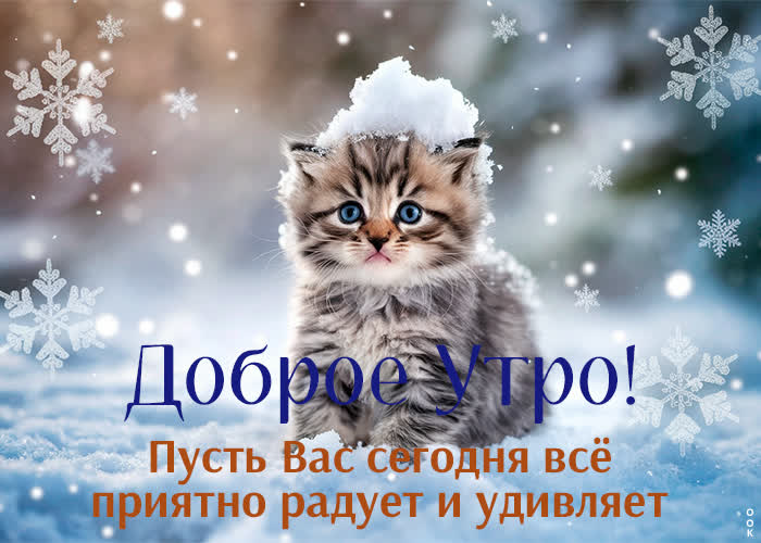 Postcard холодное, но доброе утро открытка