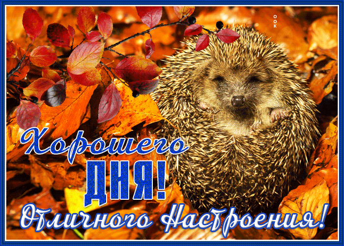 Postcard хорошего дня