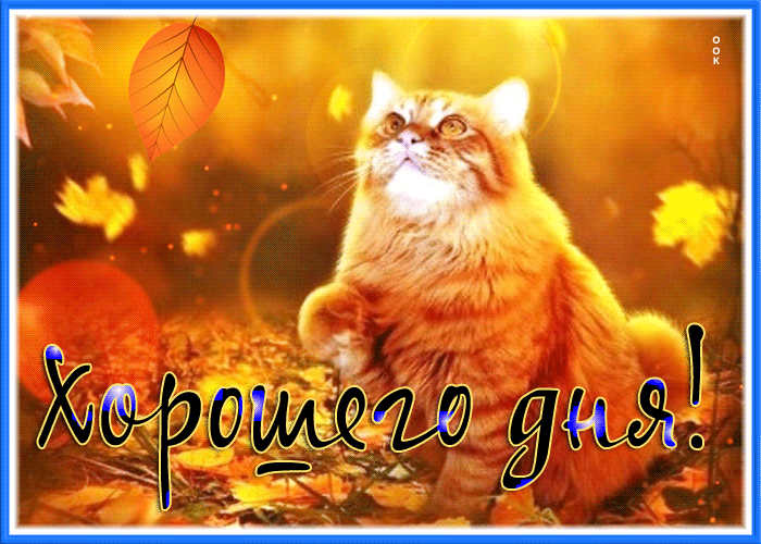 Postcard хорошего дня